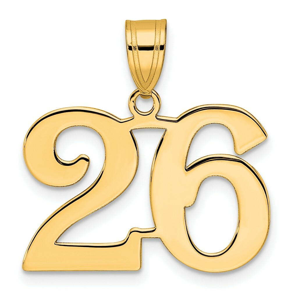 14K Yellow Gold Polished Number 20 Pendant