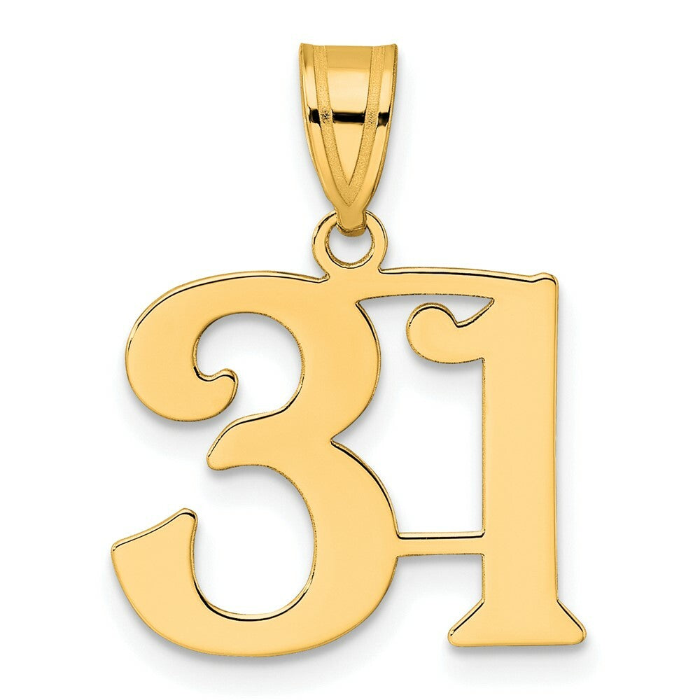 14K Yellow Gold Polished Number 20 Pendant
