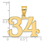 Load image into Gallery viewer, 14K Yellow Gold Polished Number 20 Pendant

