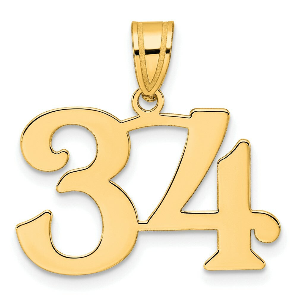 14K Yellow Gold Polished Number 20 Pendant