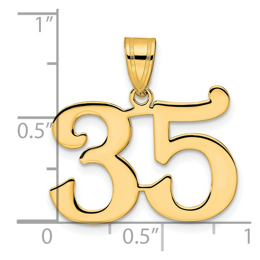 14K Yellow Gold Polished Number 20 Pendant