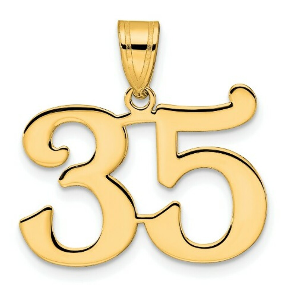 14K Yellow Gold Polished Number 20 Pendant
