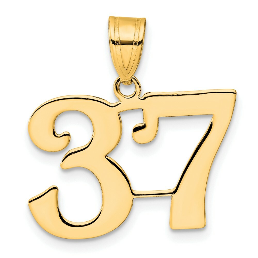 14K Yellow Gold Polished Number 20 Pendant