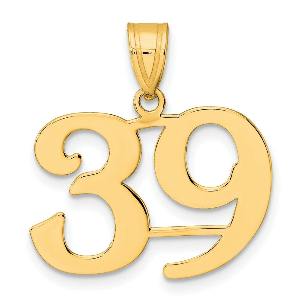 14K Yellow Gold Polished Number 20 Pendant