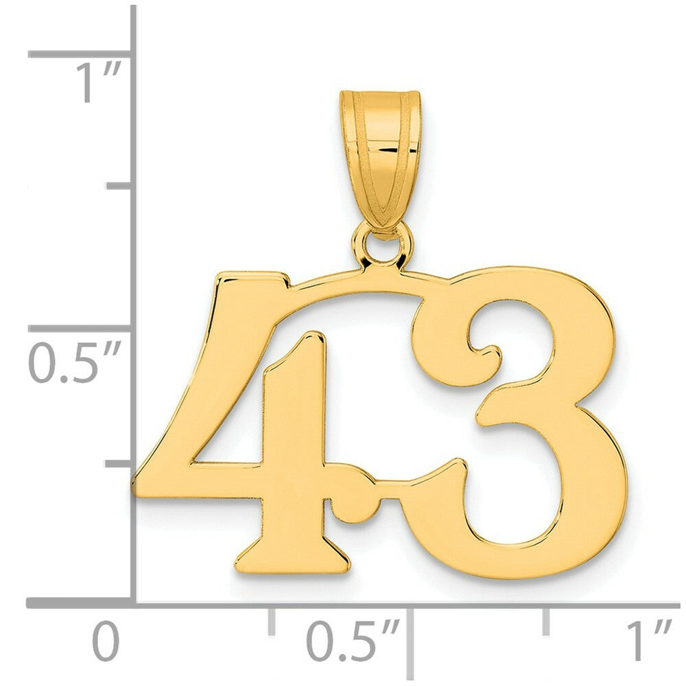 14K Yellow Gold Polished Number 20 Pendant