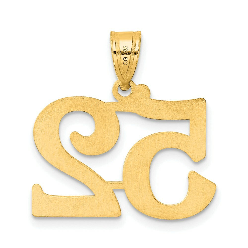 14K Yellow Gold Polished Number 20 Pendant