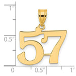 Load image into Gallery viewer, 14K Yellow Gold Polished Number 20 Pendant
