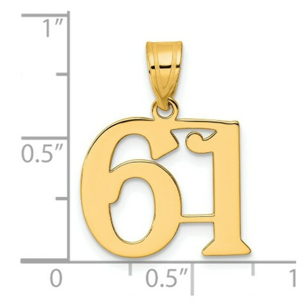 14K Yellow Gold Polished Number 20 Pendant