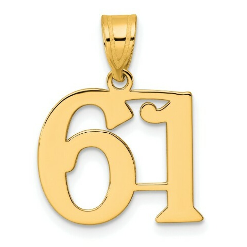 14K Yellow Gold Polished Number 20 Pendant
