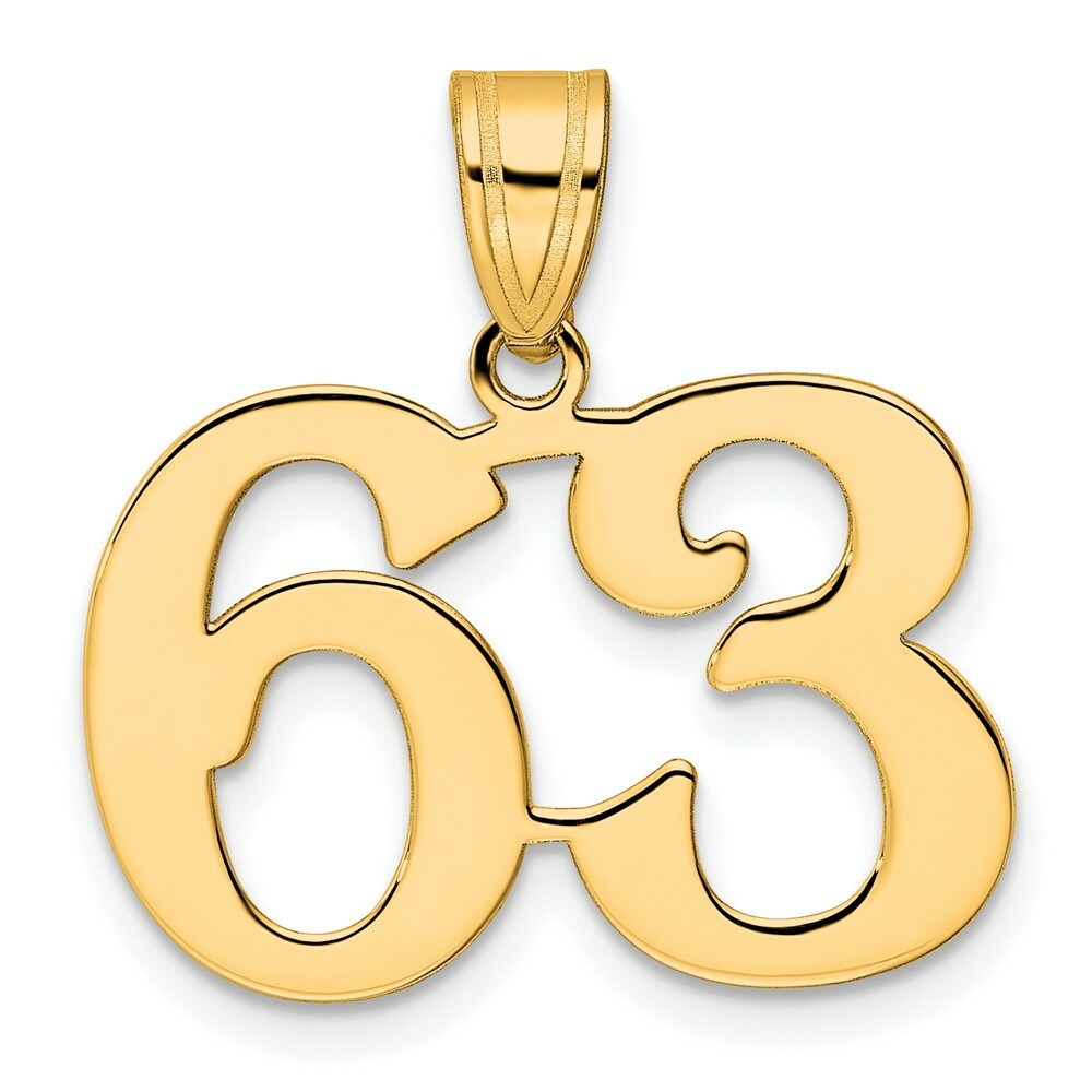 14K Yellow Gold Polished Number 20 Pendant