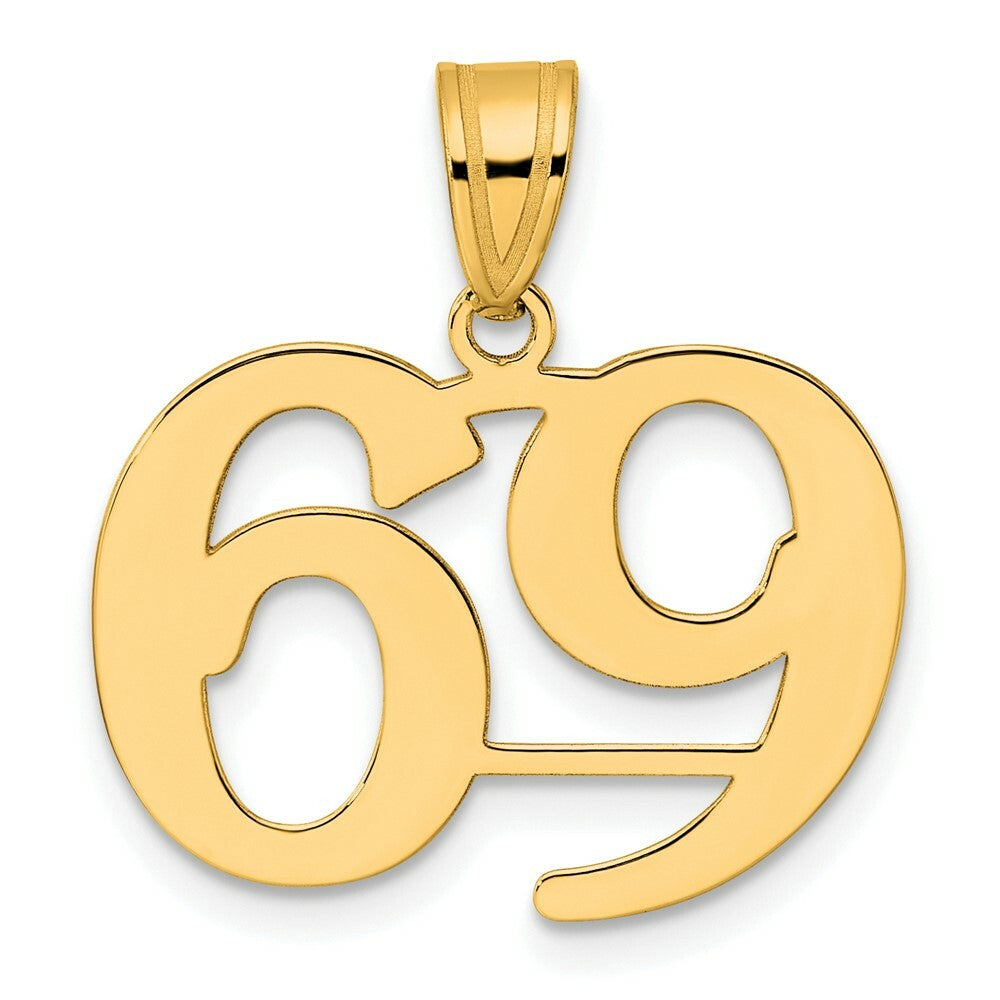14K Yellow Gold Polished Number 20 Pendant