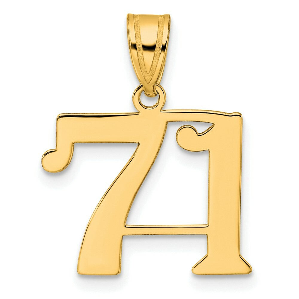 14K Yellow Gold Polished Number 20 Pendant