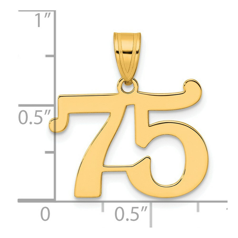 14K Yellow Gold Polished Number 20 Pendant