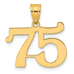 Load image into Gallery viewer, 14K Yellow Gold Polished Number 20 Pendant

