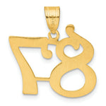Load image into Gallery viewer, 14K Yellow Gold Polished Number 20 Pendant
