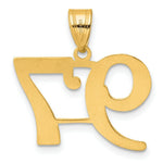 Load image into Gallery viewer, 14K Yellow Gold Polished Number 20 Pendant
