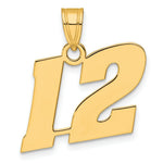Load image into Gallery viewer, 14K Yellow Gold Polished Block Number Pendant

