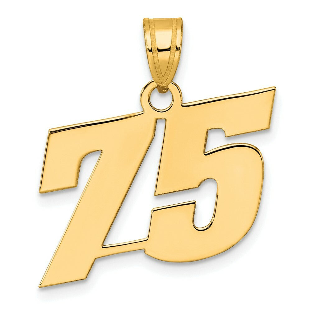 14K Yellow Gold Polished Block Number Pendant