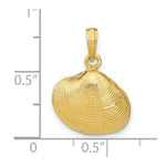 Load image into Gallery viewer, 14K Yellow Gold Medium Clam Shell Pendant
