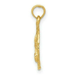 Load image into Gallery viewer, 14K Yellow Gold Sand Dollar Pendant 15mm width
