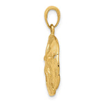 Load image into Gallery viewer, 14K Yellow Gold Sand Dollar Pendant 18mm width
