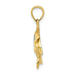 Load image into Gallery viewer, 14K Yellow Gold Imitation Opal Dolphin Pendant
