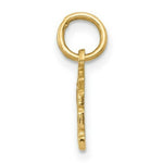 Load image into Gallery viewer, 14K Yellow Gold Swiss Cheese Charm
