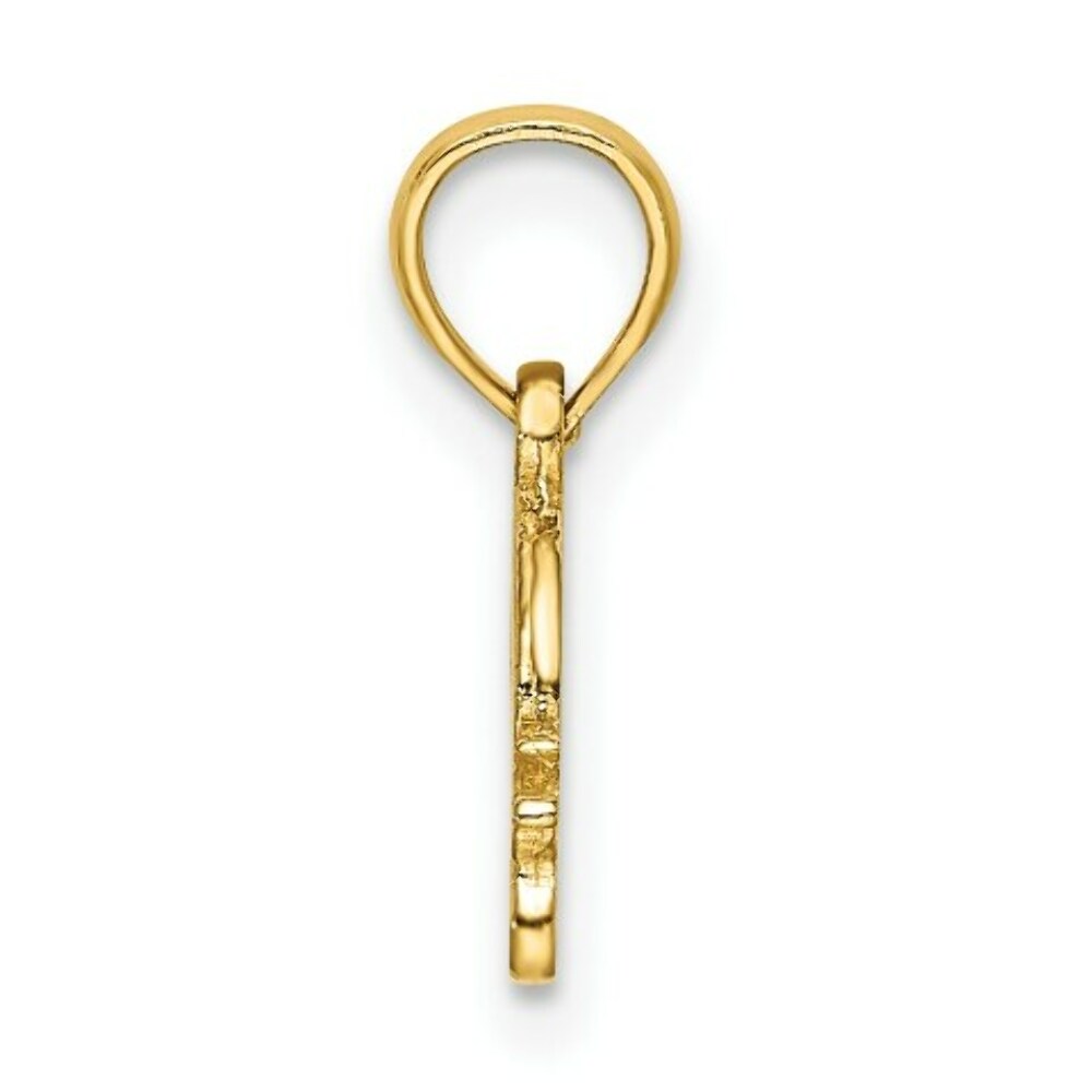 14K Yellow Gold Textured Mini Snail Charm Pendant