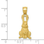 Load image into Gallery viewer, 14K Yellow Gold Diamond-cut Rabbit Pendant

