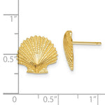 Load image into Gallery viewer, 14K Yellow Gold Scallop Shell Post Earrings
