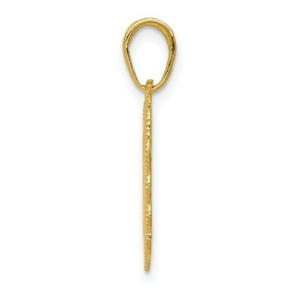 14K Yellow Gold Registered Nurse Heart Pendant