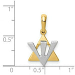Load image into Gallery viewer, 14K Yellow Gold Star of David w/Shin Charm
