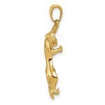 Load image into Gallery viewer, 14K Yellow Gold Polished Panther Pendant
