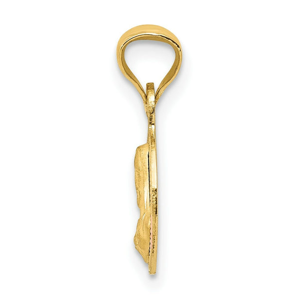 14K Yellow Gold & Rhodium Polished & Diamond-cut Sagrado Corazon Circle Pendant