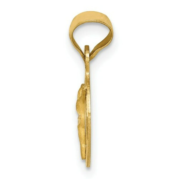 14K Yellow Gold Polished & Diamond-cut Corpus Circle Pendant 17mm length
