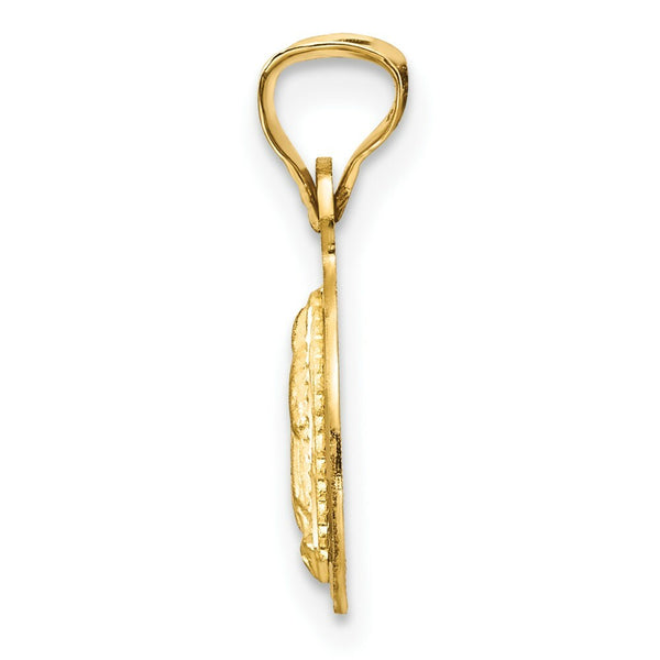 14K Yellow Gold & Rhodium Polished & Diamond-cut Lady of Guadalupe Circle Pendant