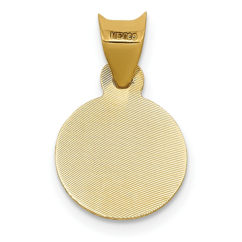 14K Yellow Gold & Rhodium Polished & Diamond-cut Lady of Guadalupe Circle Pendant