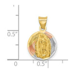 Load image into Gallery viewer, 14K Yellow Gold &amp; Rhodium Polished &amp; Diamond-cut Lady of Guadalupe Circle Pendant
