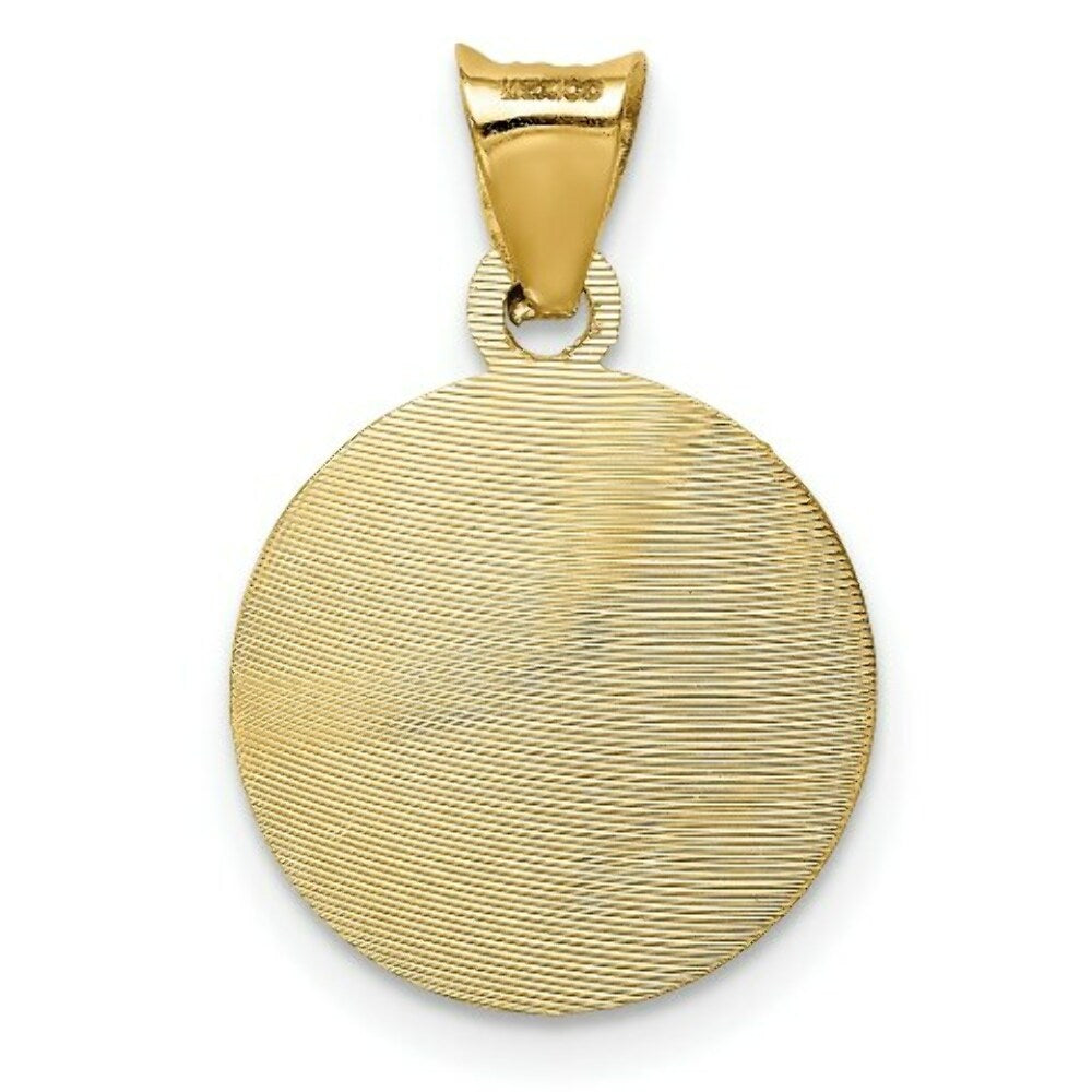 14K Yellow Gold & Rhodium Polished & Diamond-cut Lady of Guadalupe Circle Pendant