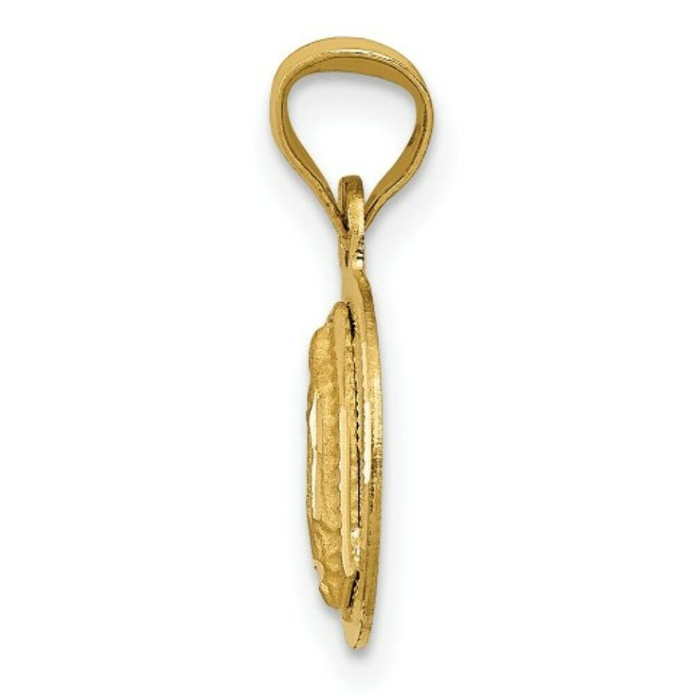14K Yellow Gold Polished & Diamond-cut Lady of Guadalupe Circle Pendant