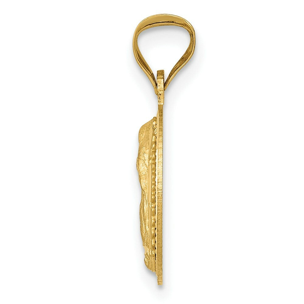 14K Yellow Gold Polished & Diamond-cut Lady of Guadalupe Circle Pendant