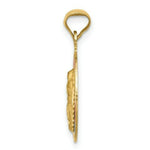 Load image into Gallery viewer, 14K Yellow Gold &amp; Rhodium Polished &amp; Diamond-cut Lady of Guadalupe Circle Pendant

