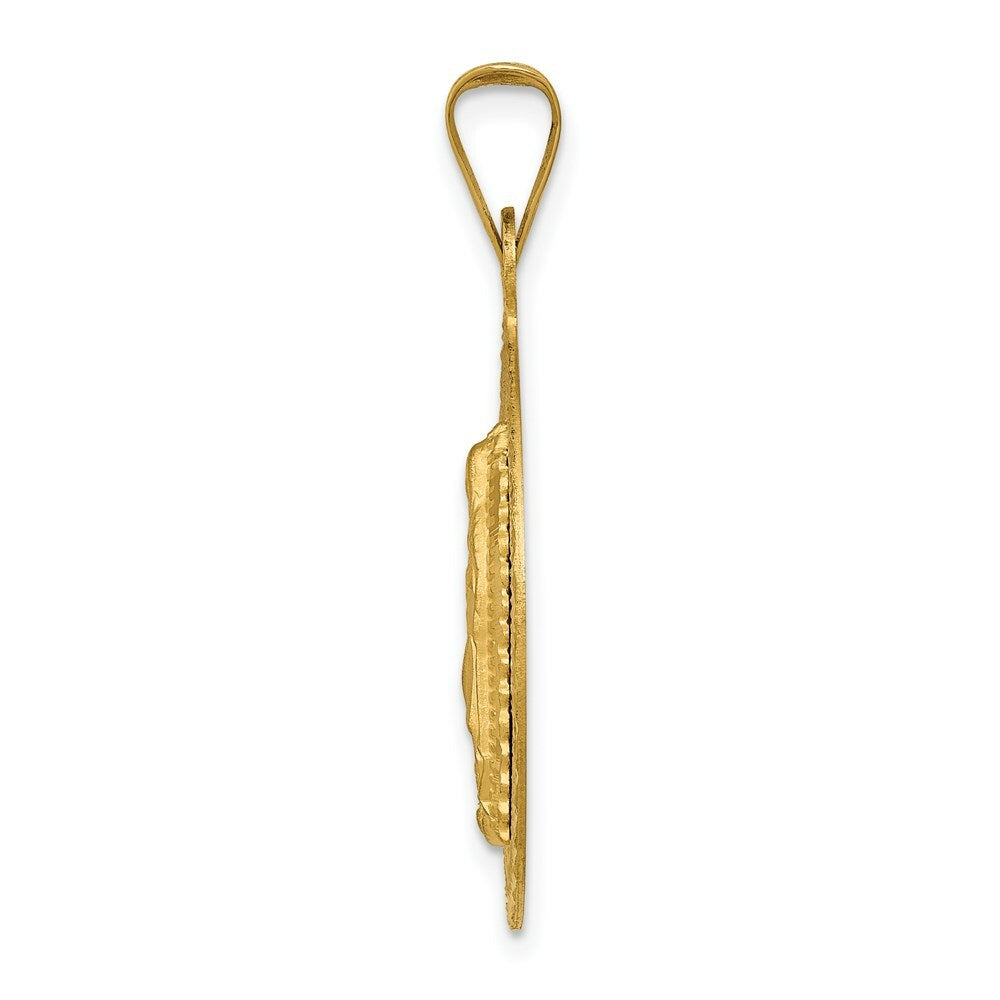 14K Yellow Gold & Rhodium Polished & Diamond-cut Lady of Guadalupe Circle Pendant
