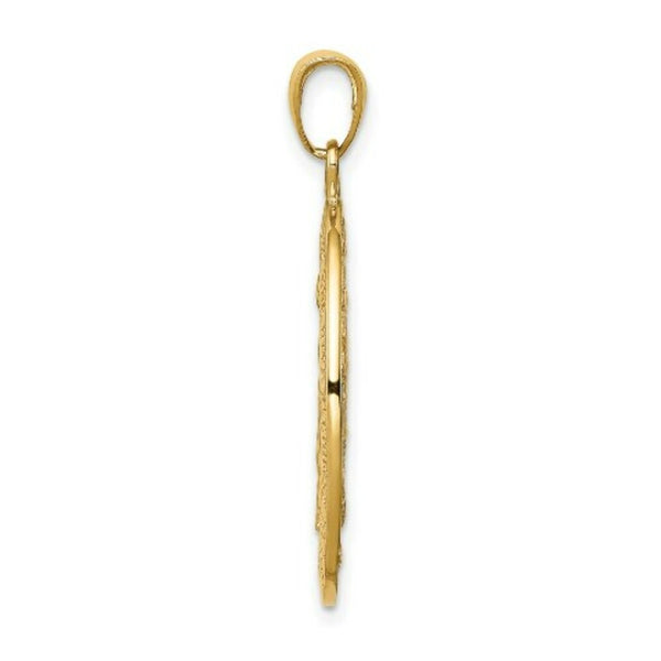 14K Yellow Gold Satin and Polished Finish Miraculous Medal Pendant