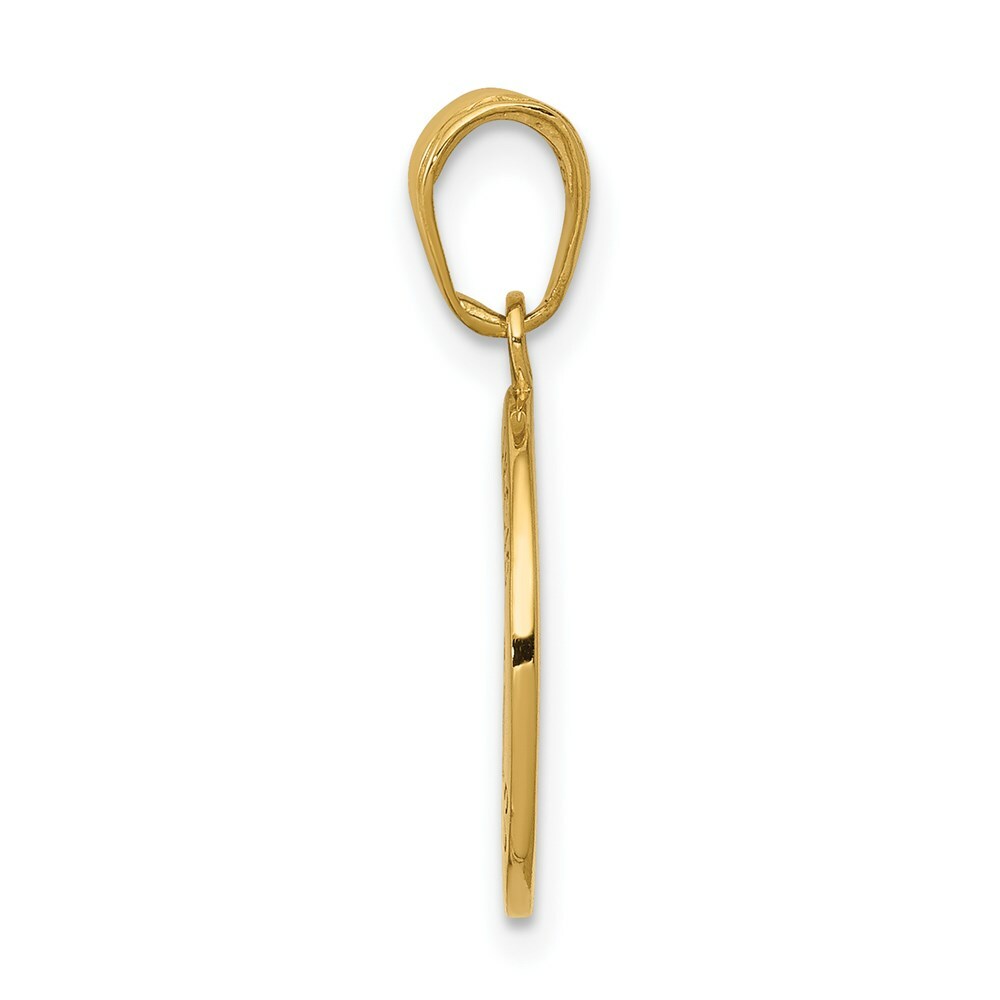 14K Yellow Gold Satin and Polished Finish Saint Francis Medal Pendant