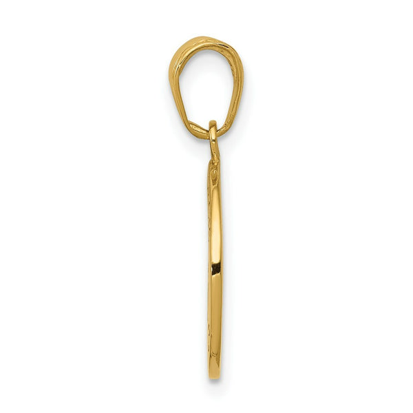 14K Yellow Gold Satin and Polished Finish Saint Francis Medal Pendant