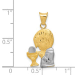 Load image into Gallery viewer, 14K Yellow Gold w/Rhodium Satin &amp; Polished Diamond-cut Boy Communion Pendant
