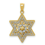 Load image into Gallery viewer, 14K Two-tone Gold Polished Reversible Filigree Star of David Pendant
