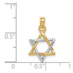 Load image into Gallery viewer, 14K Two-tone Gold Polished Star of David Pendant

