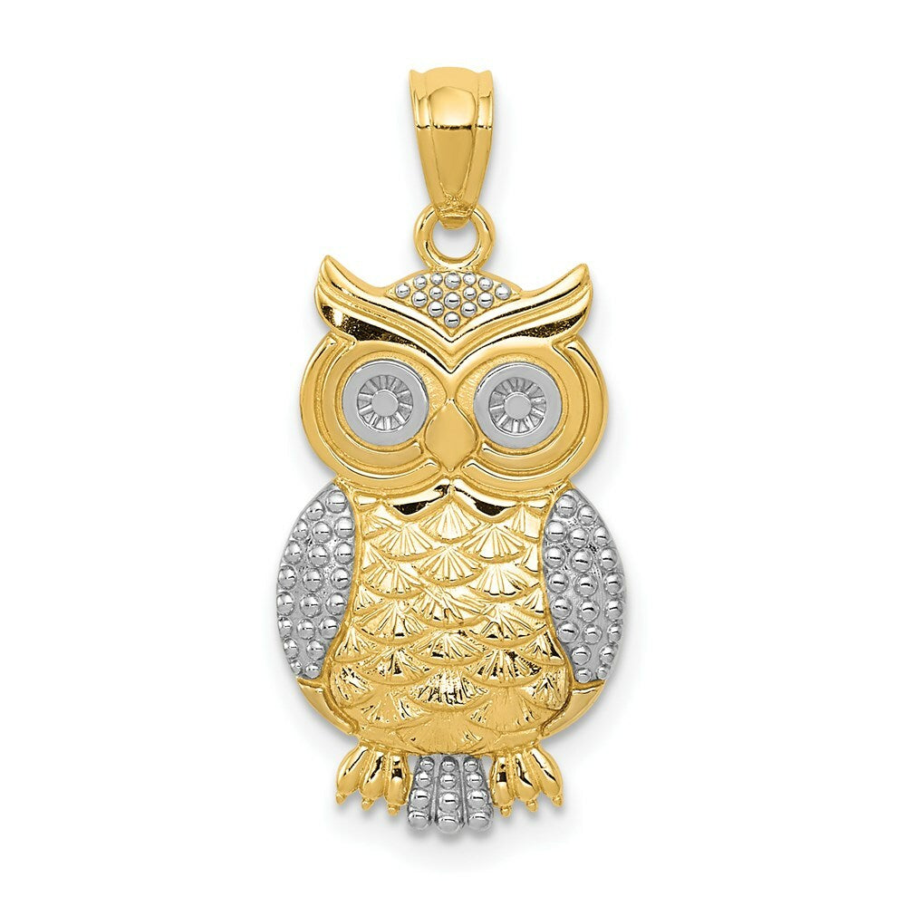 14K Two-tone Gold with Rhodium Polished & Textured Owl Pendant